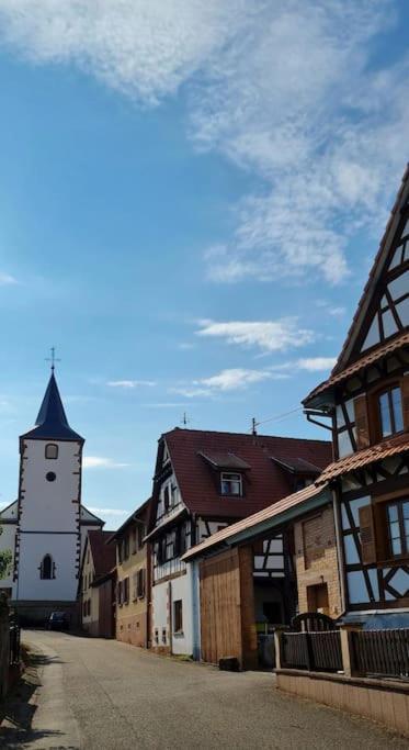 Alsace Bas-Rhin Logis Independant Avec Piscine Privee Apartment Alteckendorf ภายนอก รูปภาพ